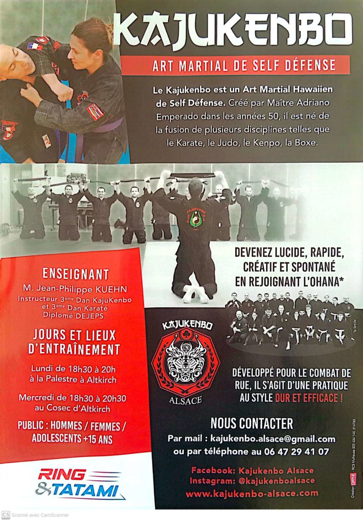 Self-défense, kajukenbo, kenpo, hawaïen, simplicité, art martial, logique, karaté, jujitsu, boxe, kali, réalisme, femme, adolescent, efficacité, réflexe, force, puissance, adaptation, Alsace, Haut-Rhin, Altkirch, Dannemarie, la palestre, cosec, tribal spirit