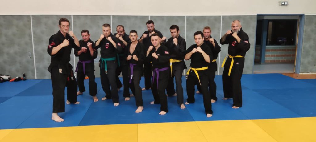 Self-défense, kajukenbo, kenpo, hawaïen, simplicité, art martial, logique, karaté, jujitsu, boxe, kali, réalisme, femme, adolescent, efficacité, réflexe, force, puissance, adaptation, Alsace, Haut-Rhin, Altkirch, Dannemarie, la palestre, cosec, tribal spirit