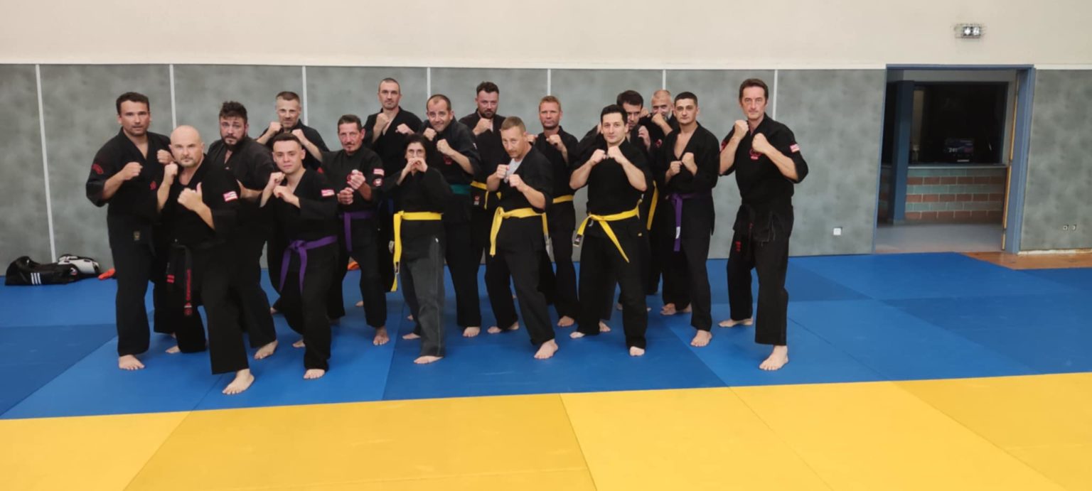 Self-défense, kajukenbo, kenpo, hawaïen, simplicité, art martial, logique, karaté, jujitsu, boxe, kali, réalisme, femme, adolescent, efficacité, réflexe, force, puissance, adaptation, Alsace, Haut-Rhin, Altkirch, Dannemarie, la palestre, cosec, tribal spirit